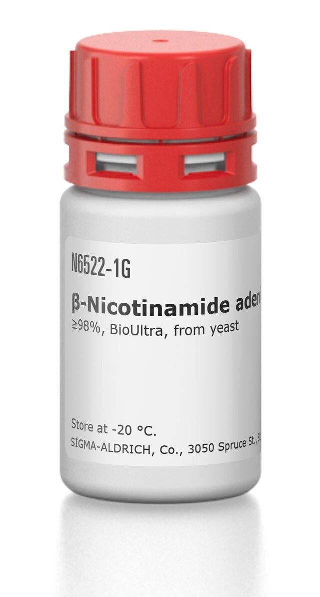 β-Nicotinamide adenine dinucleotide hydrate