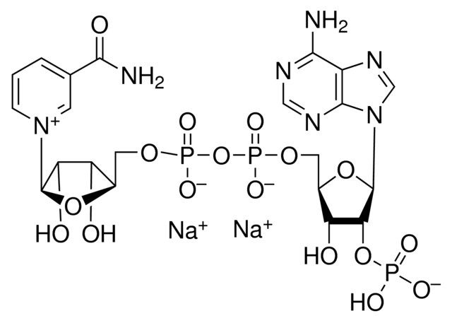 β-Nicotinamide adenine dinucleotide phosphate disodium salt