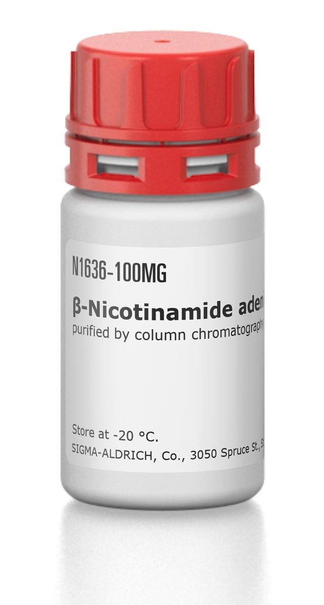β-Nicotinamide adenine dinucleotide hydrate