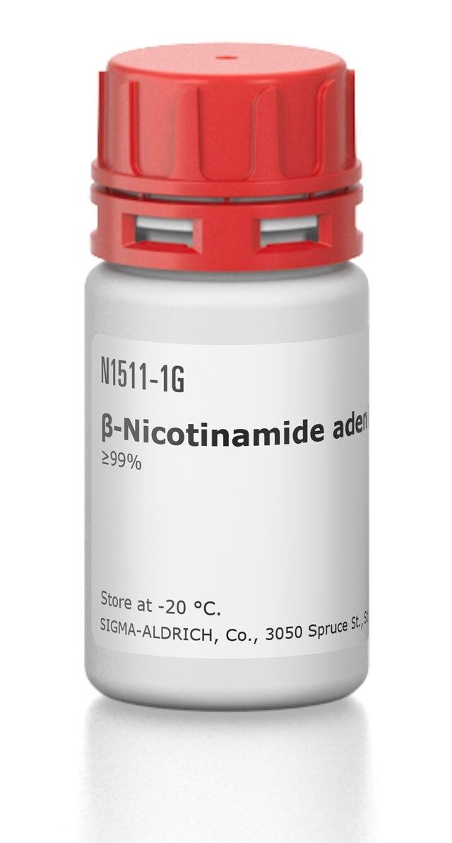 β-Nicotinamide adenine dinucleotide hydrate