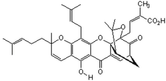 Gambogic Acid, <i>Garcinia hanburyi</i>-CAS 2752-65-0-Calbiochem