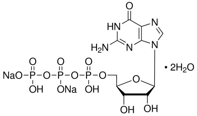 Guanosine 5′-triphosphate sodium salt hydrate