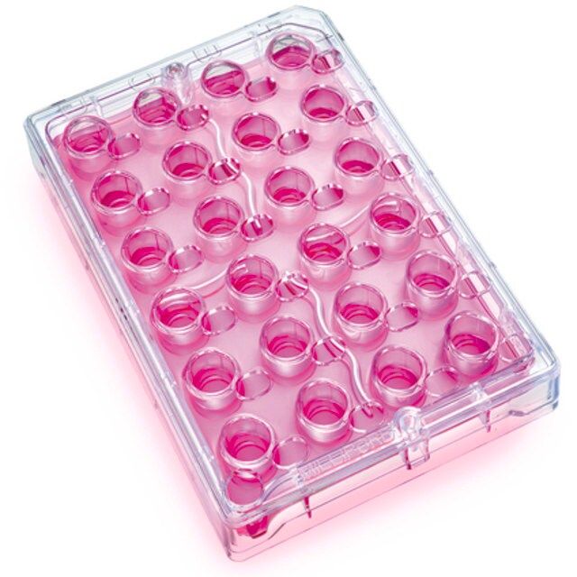 Millicell-24 Cell Culture Insert Plate, polyethylene terephthalate, 1.0 μm