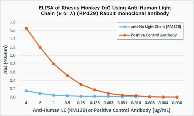 Anti-Human Ig Light Chain antibody, Rabbit monoclonal