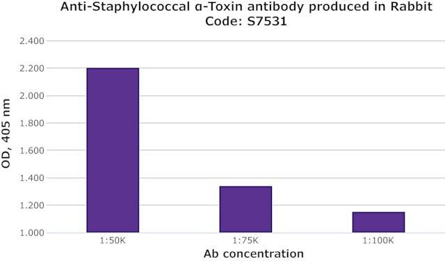 Anti-Staphylococcal α-Toxin antibody produced in rabbit