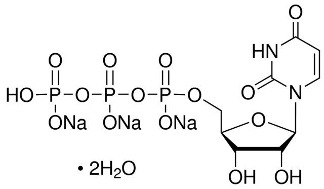 Uridine 5′-triphosphate trisodium salt dihydrate