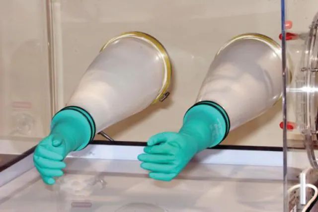 Plas-Labs replacement butyl gloves