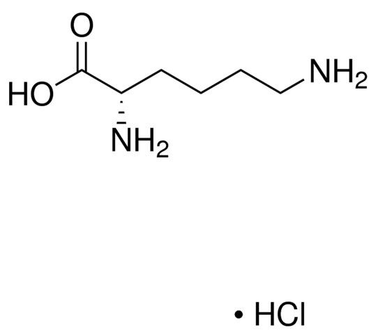 Lysine hydrochloride