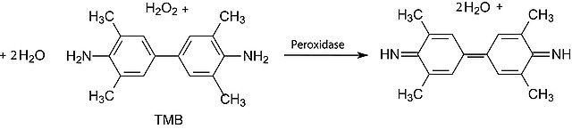 3,3′,5,5′-Tetramethylbenzidine dihydrochloride hydrate