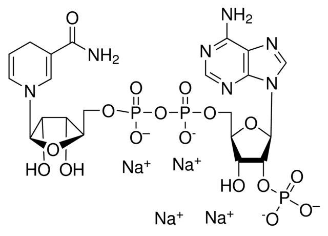 β-Nicotinamide adenine dinucleotide 2′-phosphate reduced tetrasodium salt