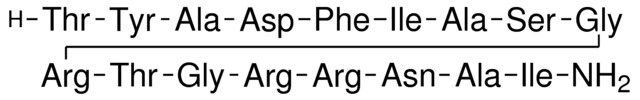 Protein Kinase A Inhibitor Fragment 6-22 amide