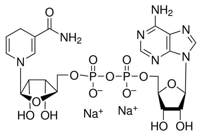 β-Nicotinamide adenine dinucleotide, reduced disodium salt