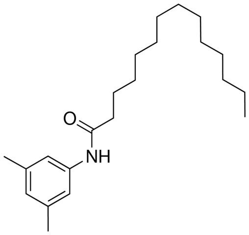 N-(3,5-DIMETHYLPHENYL)TETRADECANAMIDE