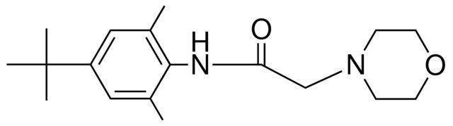 N-(4-TERT-BUTYL-2,6-DIMETHYL-PHENYL)-2-MORPHOLIN-4-YL-ACETAMIDE