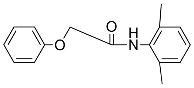 N-(2,6-DIMETHYL-PHENYL)-2-PHENOXY-ACETAMIDE