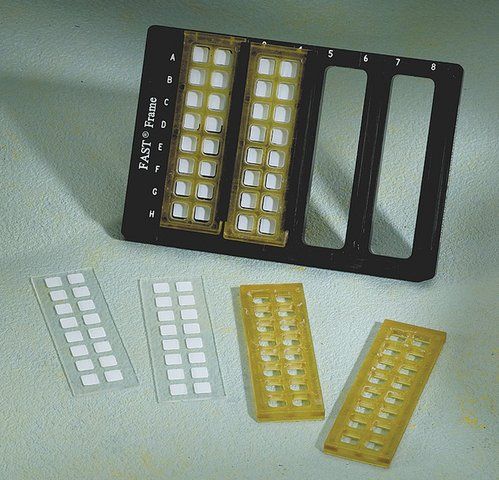 FAST frame slide holders