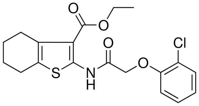 ETHYL 2-{[(2-CHLOROPHENOXY)ACETYL]AMINO}-4,5,6,7-TETRAHYDRO-1-BENZOTHIOPHENE-3-CARBOXYLATE