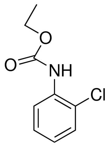 ETHYL 2-CHLOROPHENYLCARBAMATE