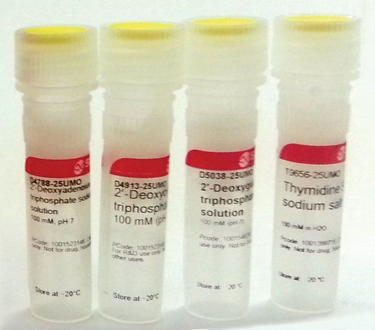 Deoxynucleotide Set, 100 mM