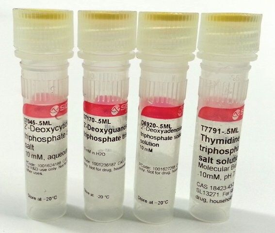 Deoxynucleotide Set, 10 mM