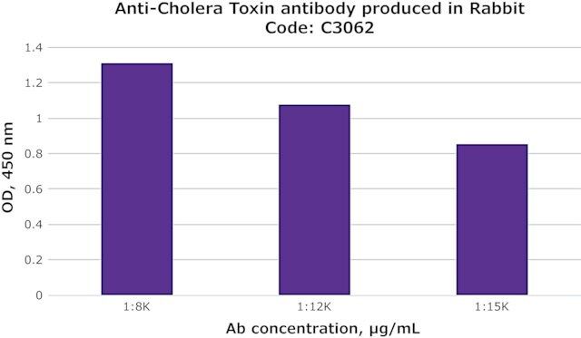 Anti-Cholera Toxin antibody produced in rabbit