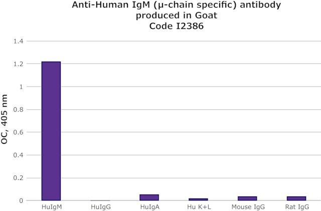 Anti-Human IgM (μ-chain specific) antibody produced in goat