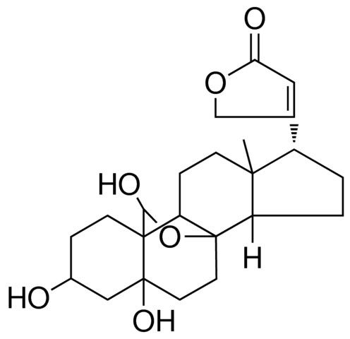 8,19-EPOXY-3-BETA,5,19-TRIHYDROXY-5-BETA,14-BETA,17-ALPHA-CARD-20(22)-ENOLIDE