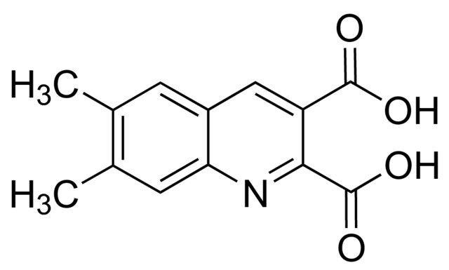6,7-Dimethylquinoline-2,3-dicarboxylic acid