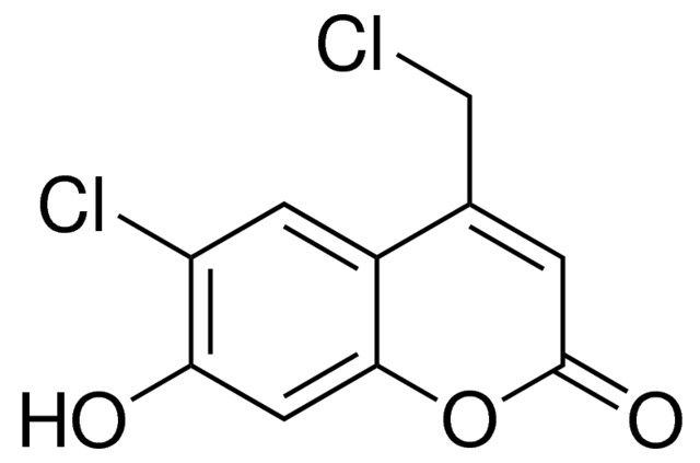 6-CHLORO-4-(CHLOROMETHYL)-7-HYDROXY-2H-CHROMEN-2-ONE