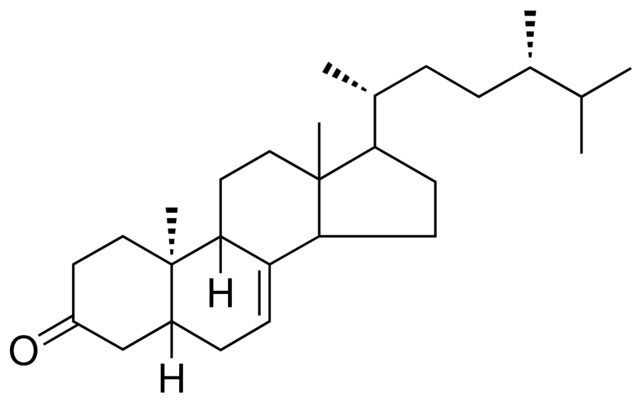 5-BETA,9-BETA,10-ALPHA-ERGOST-7-EN-3-ONE