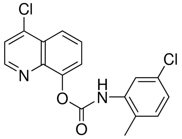 4-CHLORO-8-QUINOLYL N-(5-CHLORO-2-METHYLPHENYL)CARBAMATE