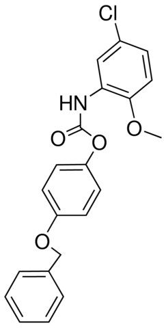 4-BENZYLOXYPHENYL N-(5-CHLORO-2-METHOXYPHENYL)CARBAMATE