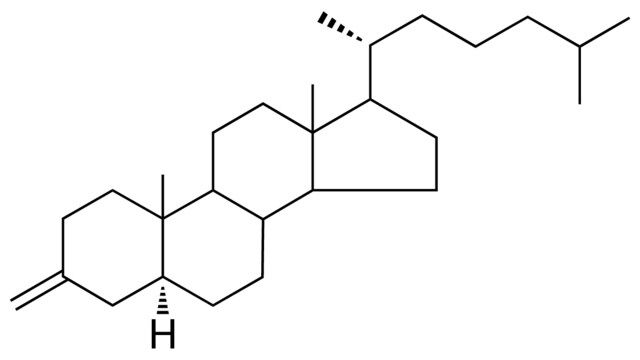 3-METHYLENE-5-ALPHA-CHOLESTANE