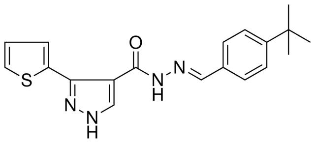 3-THIOPHEN-2YL-1H-PYRAZOLE-4-CARBOXYLIC ACID (4-TERT-BUTYL-BENZYLIDENE)HYDRAZIDE