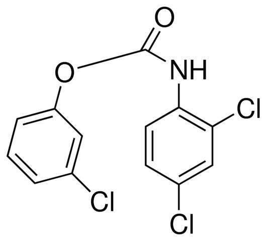 3-CHLOROPHENYL N-(2,4-DICHLOROPHENYL)CARBAMATE