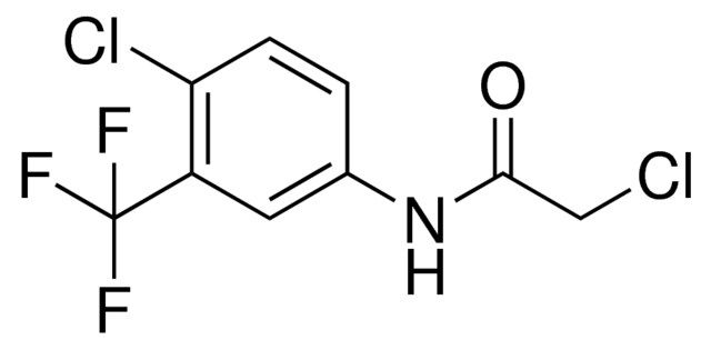 2-CHLORO-N-(4-CHLORO-3-(TRIFLUOROMETHYL)PHENYL)ACETAMIDE