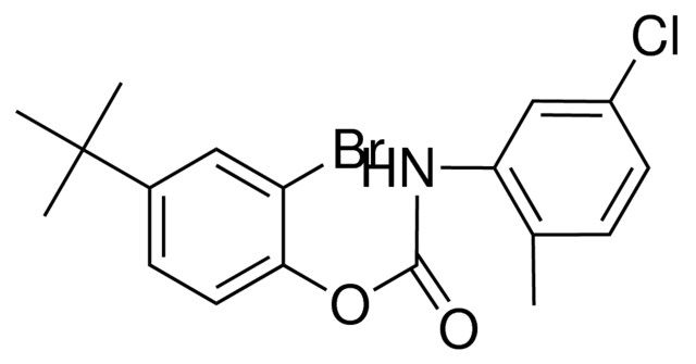 2-BROMO-4-TERT-BUTYLPHENYL N-(5-CHLORO-2-METHYLPHENYL)CARBAMATE