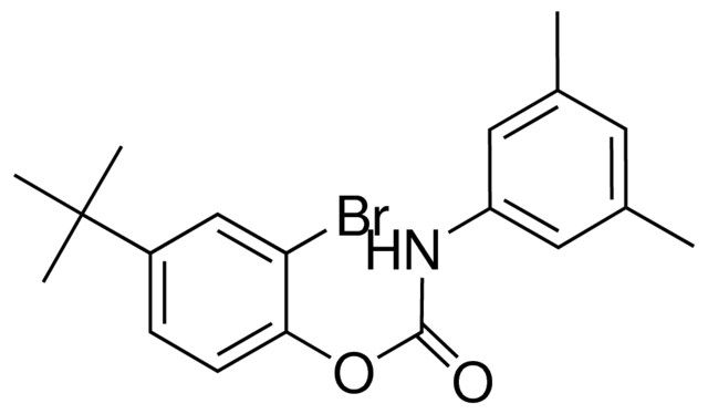 2-BROMO-4-TERT-BUTYLPHENYL N-(3,5-DIMETHYLPHENYL)CARBAMATE