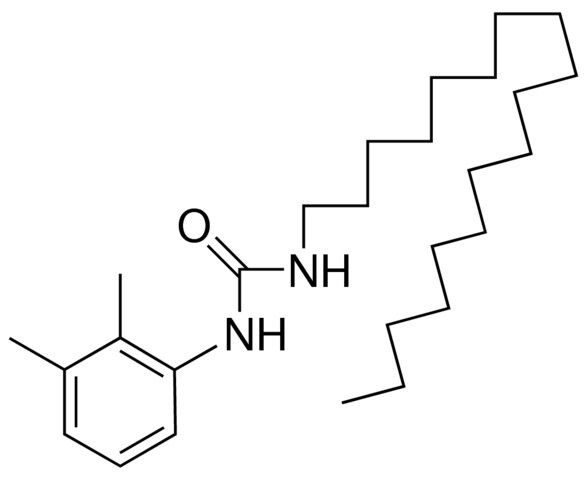 1-OCTADECYL-3-(2,3-XYLYL)UREA
