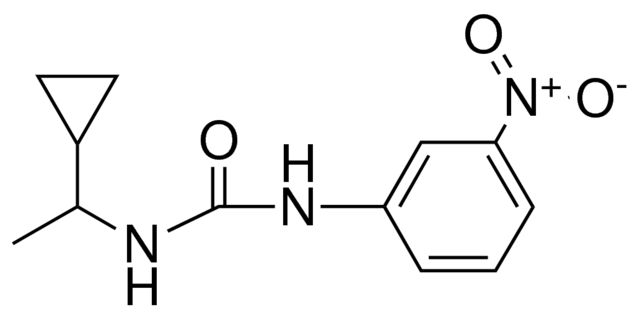 1-(1-CYCLOPROPYL-ETHYL)-3-(3-NITRO-PHENYL)-UREA