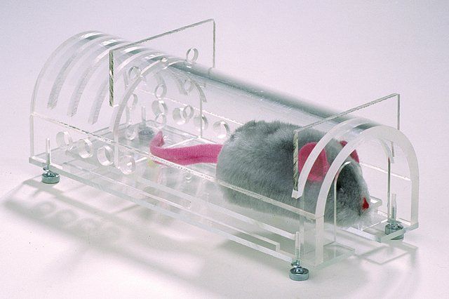 Universal animal restrainer