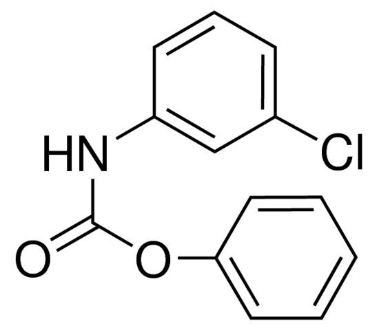 PHENYL N-(3-CHLOROPHENYL)CARBAMATE