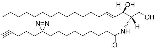 pacFA Ceramide