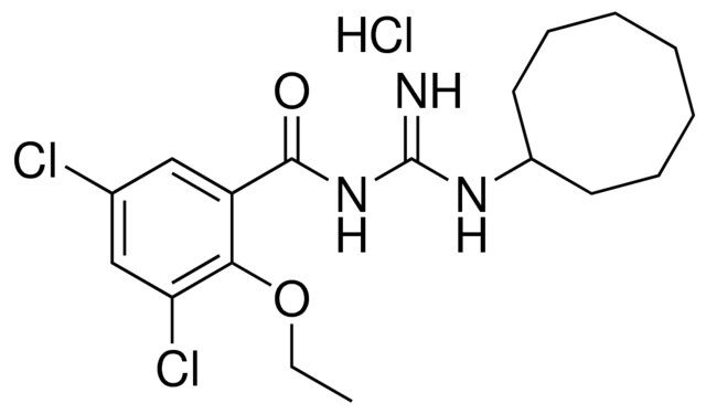 N-CYCLOOCTYL-N'-(3,5-DICHLORO-2-ETHOXY-BENZOYL)-GUANIDINE, HYDROCHLORIDE
