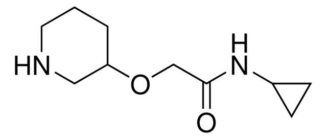 N-Cyclopropyl-2-(3-piperidinyloxy)acetamide