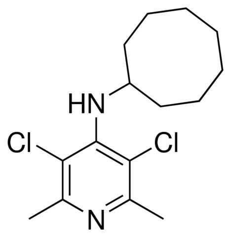 N-CYCLOOCTYL-N-(3,5-DICHLORO-2,6-DIMETHYL-4-PYRIDINYL)AMINE