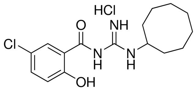 N-(5-CHLORO-2-HYDROXY-BENZOYL)-N'-CYCLOOCTYL-GUANIDINE, HYDROCHLORIDE