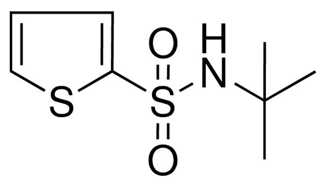 N-(TERT-BUTYL)-2-THIOPHENESULFONAMIDE