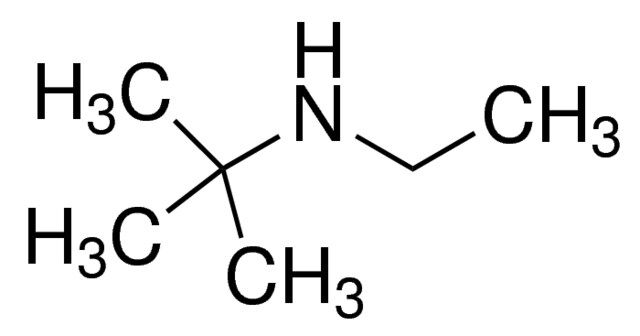 <i>N</i>-Ethyl-2-methyl-2-propanamine