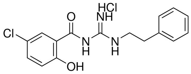 N-(5-CHLORO-2-HYDROXY-BENZOYL)-N'-PHENETHYL-GUANIDINE, HYDROCHLORIDE